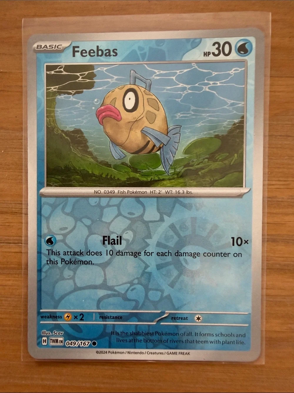 Feebas & Milotic Evolution Lot | 4 Pokémon Cards | Reverse Holo ✨5/$25✨